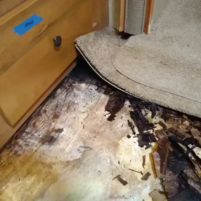 Wood Floor Water Damage in Economy, PA